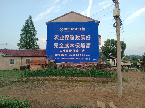 驻马店墙体广告的优劣势你知道吗？